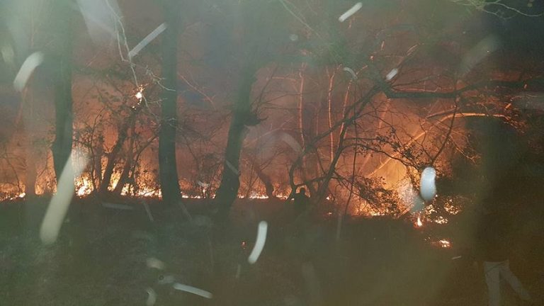 25Οκτ2018 –  Μάθε τι παίζει – Μιχάλης Σπανός