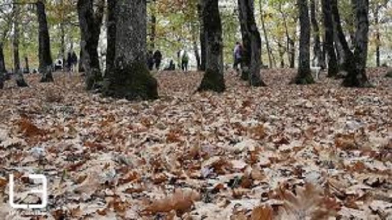 09Νοε2018 –  Μάθε τι παίζει –  Δημήτρης Βολοβότσης