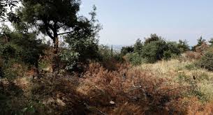 04Οκτ2019 – Θεοχάρης Ζάγκας