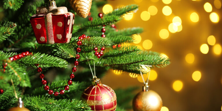 Χριστουγεννιάτικες ιστορίες και μουσικές στις “Φωνές και μουσικές”| 22-12-22