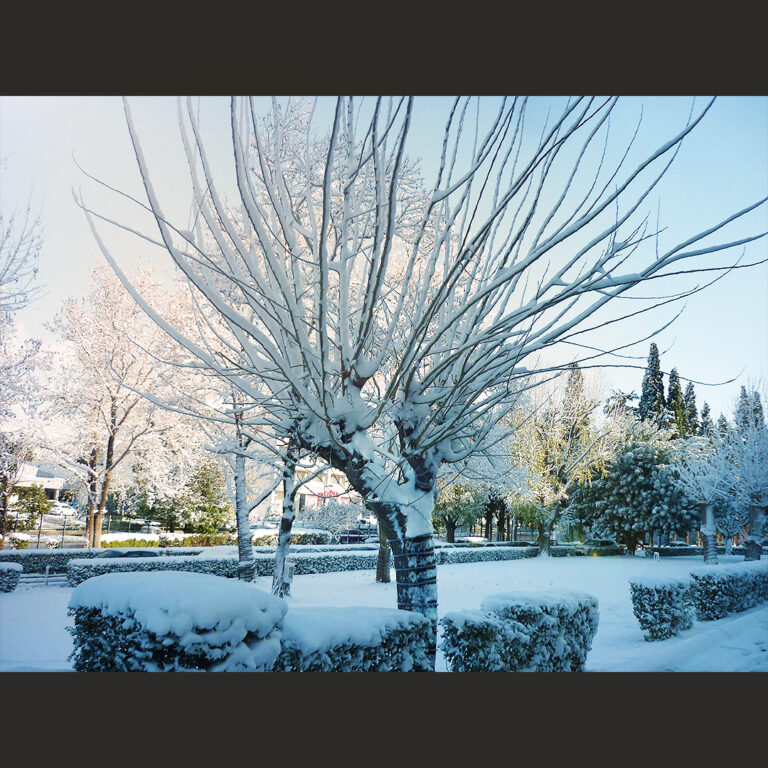 Ταξιδεύοντας με φως Ελληνικό με τον Γιάννη Παπουτσάκη | 17.01.23