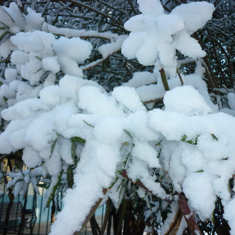 Ηλιοτρόπια με τον Γιάννη Παπουτσάκη | 20.02.23
