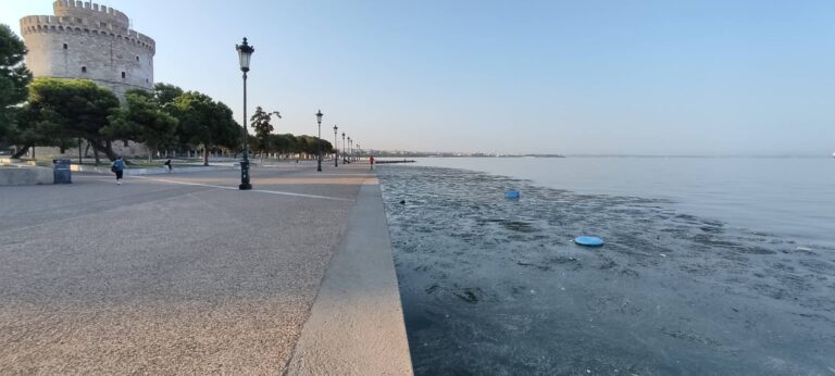Η περιβαλλοντολόγος στο Τμήμα Περιβάλλοντος του δήμου Θεσσαλονίκης Ξένια Τσιμενίδου, στον 102FM | «Εδώ και Τώρα» | 05.03.2024