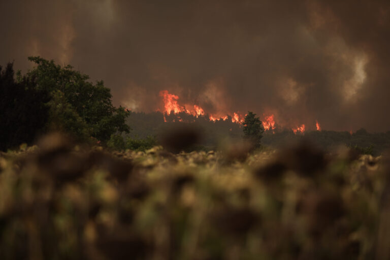 H Ελληνική Κοινότητα Βερολίνου στο πλευρό των πυρόπληκτων στην Εύβοια