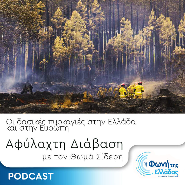 Οι δασικές πυρκαγιές στην Ελλάδα και στην Ευρώπη | 30.08.2024