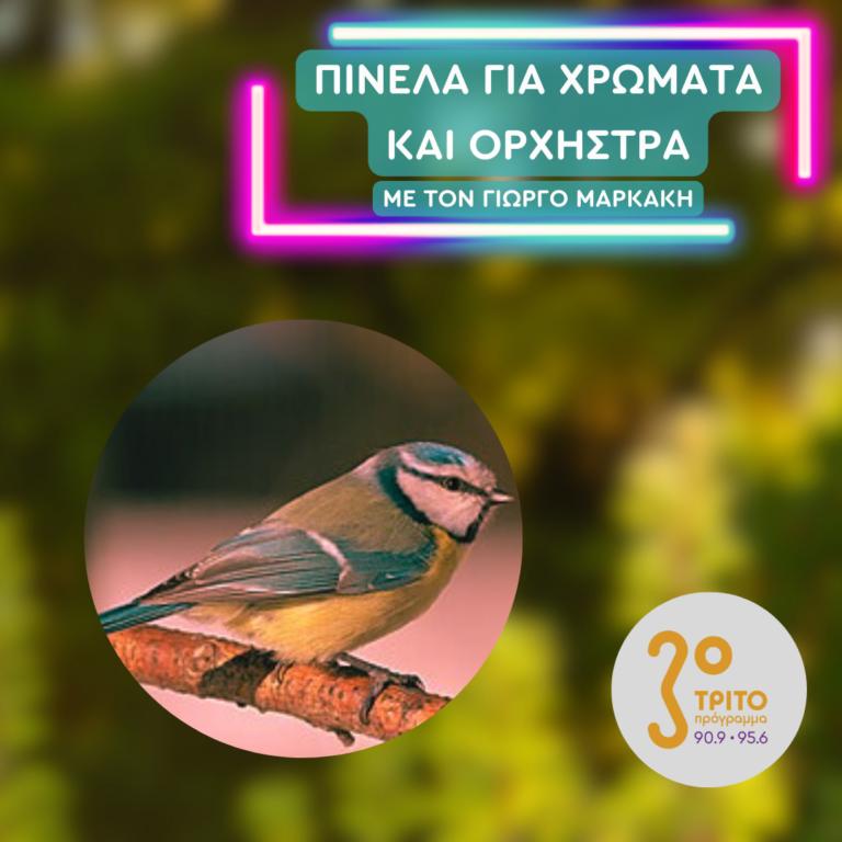 Η Μελωδική Γαλαζοπαπαδίτσα της Ελληνικής Υπαίθρου | 06.12.2024