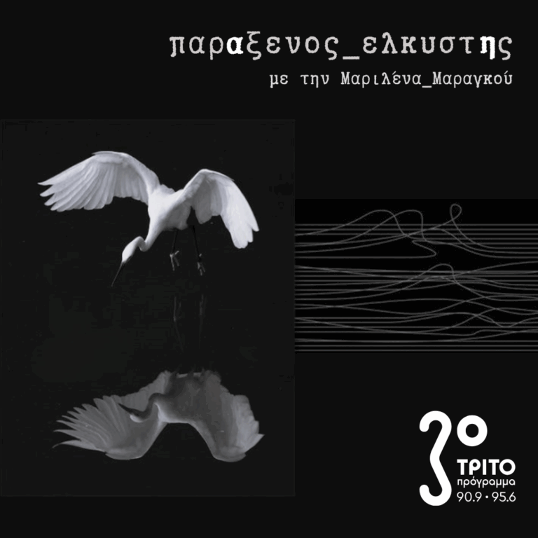 [ ο καθρέφτης των πουλιών ] | 12.05.2025