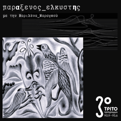 [ συνθετικά_Πουλιά ] | 20.05.2025