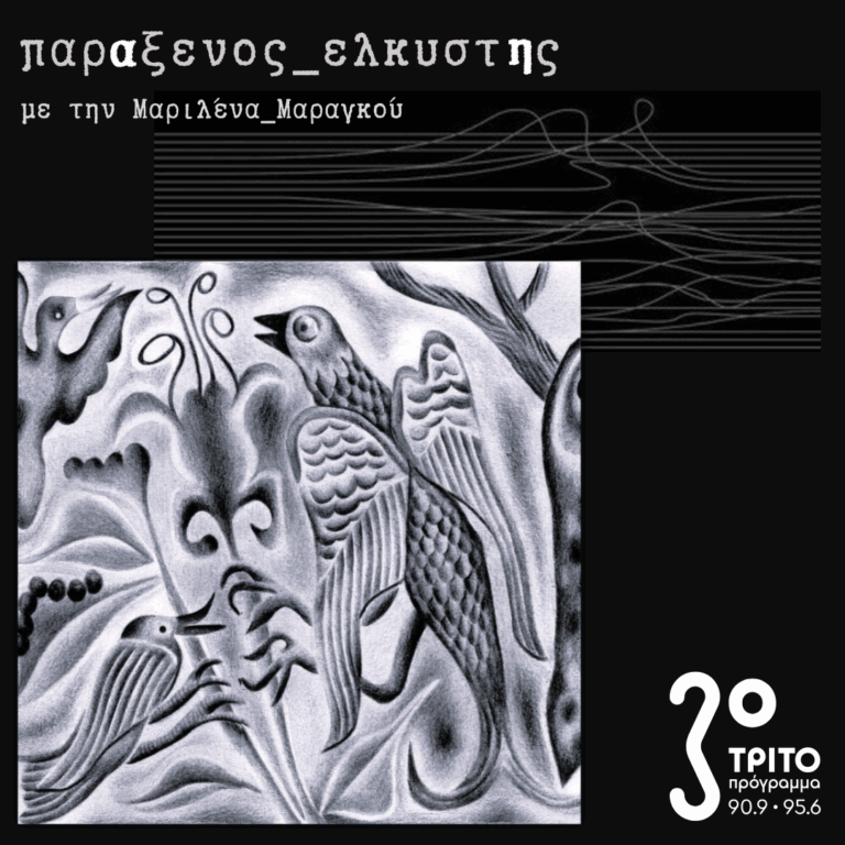[ συνθετικά_Πουλιά ] | 20.05.2025