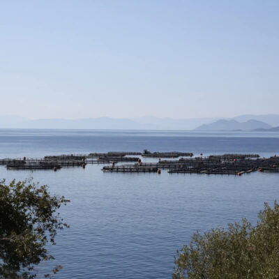 Η Μικρή Θαλασσινή: Ιχθυοκαλλιέργειες | 20.06.2025