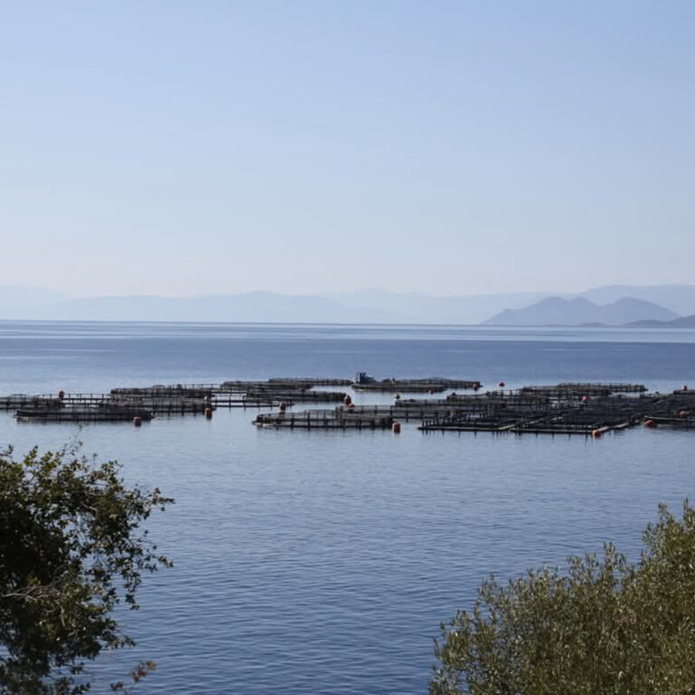 Η Μικρή Θαλασσινή: Ιχθυοκαλλιέργειες | 20.06.2025