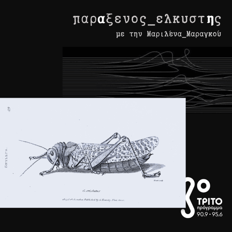 [ ο ήχος μιας καλοκαιρινής νύχτας : το τραγούδι του γρύλου ] | 26.08.2025