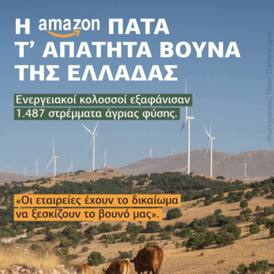 Η Μικρή Θαλασσινή: Η amazon πατά τ’απάτητα βουνά της Ελλάδας | 03.10.2025