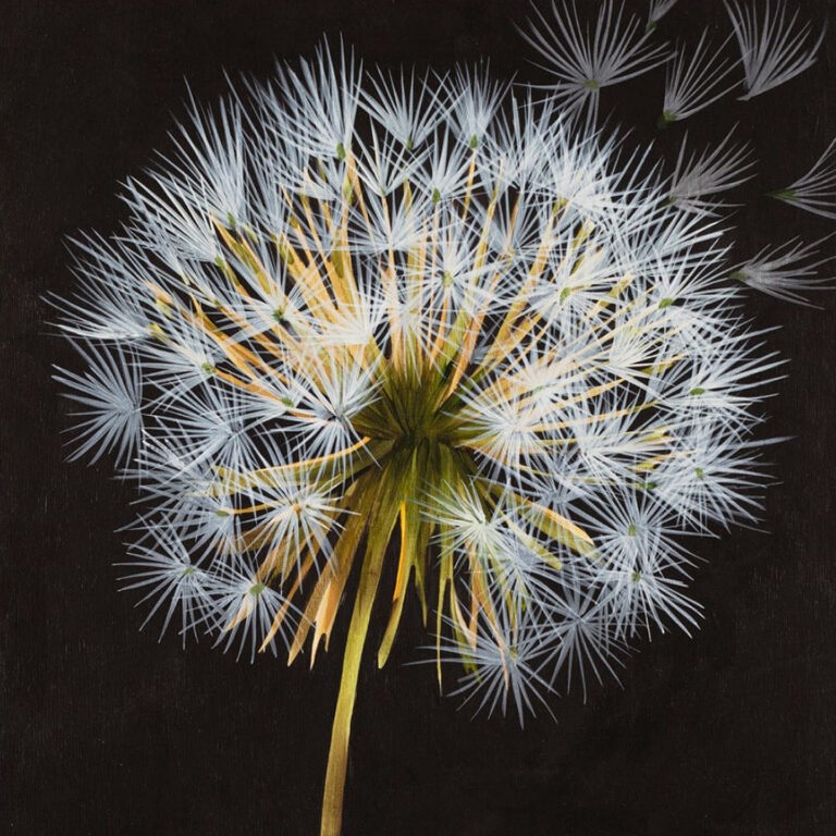 Infinitely Curious: Make a Wish – 2026 | 04.01.2026