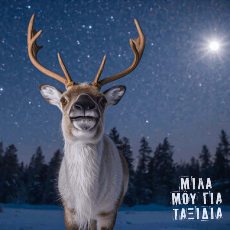 Μίλα μου για ταξίδια: Χριστουγεννιάτικοι Προορισμοί – Ροβανιέμι, Ονειρούπολη Δράμας, Κάτω Ιταλία | 09.01.2026